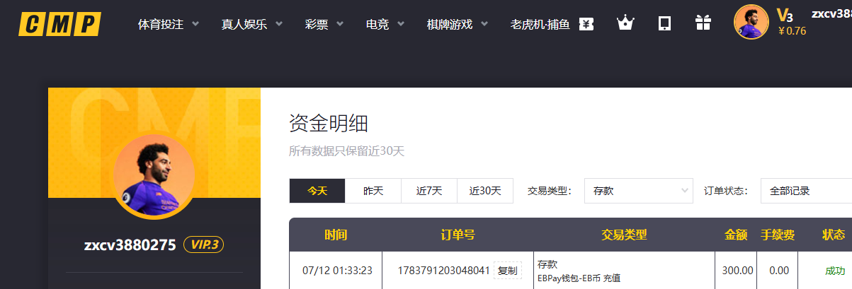 存款300.png